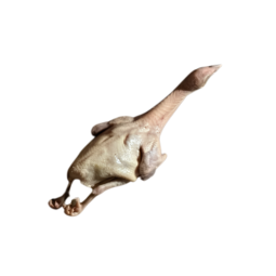 PIGEON DRY AGED 7 DAYS FRZ (320-350G) - V CHEF