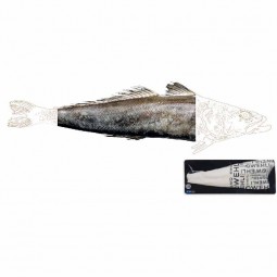 Cá tuyết phi lê đông lạnh Patagonian Toothfish Fillet Fra Frz (~1.5kg) - Qwehli