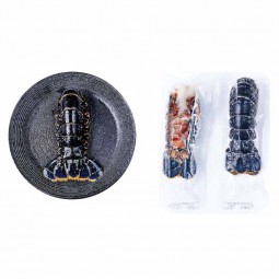 European Lobster Tail Shell On Frz (120G-180G) - Cinq Degres Ouest