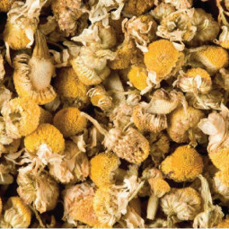 Camomille (1G)*250 - Herbal Tea - Dammann Frères