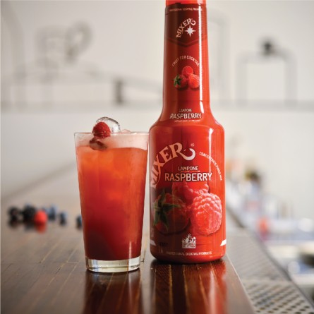 CONCENTRATE PUREE RASPBERRY (1L) - MIXER