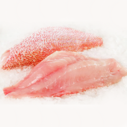 Splendid Alfonsino Fillet Frz (160-260g) (~400g) - Nippon Premium