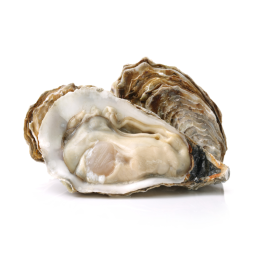 Frz Whole Shell Oyster M 80/100 (10kg) - Honda Suisan