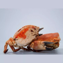 Cua Nâu Brown Crab Cooked Ireland Frz (~600G) - Errigal Bay