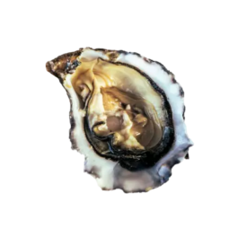 Special N2 48Pc Oysters Isigny (5Kg) - La Calvadosienne