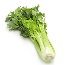 Celery Perfection Fresh 800 Gr - Kojavm