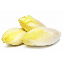 Cải Diếp Trắng - White Endive 1Kg - Kojavm