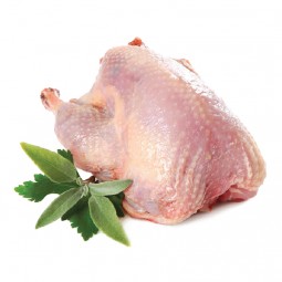 Pigeon Oven Ready Frz (~460G) - Cff Rungis