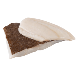 FROZEN FARMED TURBOT FILLET (400-700G) - PALAMOS - CTR