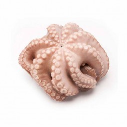 Bạch tuộc đông lạnh  - Whole Octopus Frz (~2.5Kg) - Terre D'Azur | EXP 02/07/2026