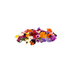 MIXED EDIBLE FLOWERS (12G) - ORLAR