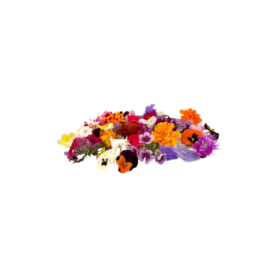 MIXED EDIBLE FLOWERS (12G) - ORLAR