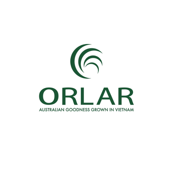 Orlar
