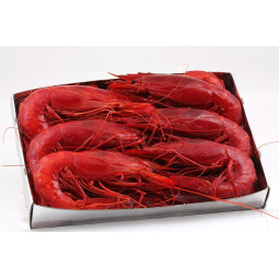CARABINEROS FRZ 15-20 (~1.5KG) - TERRE D'AZUR