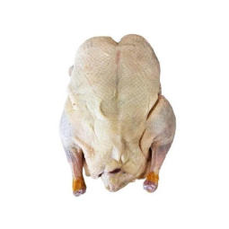 WHOLE DUCK OVEN READY FRZ (~1.8KG) - V CHEF