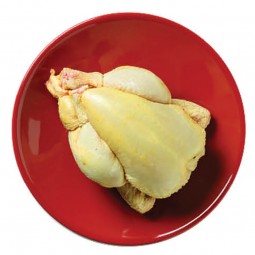 Thịt gà nguyên con đông lạnh - Savel – Frozen Yellow Coquelet 400-450g/con | EXP 4/10/2024