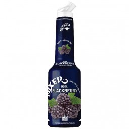 Mixer - Concentrate Puree Mix Blackberry (1l)