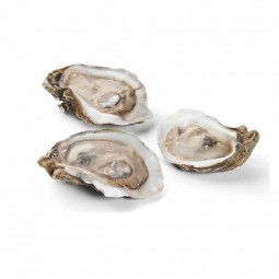 Oysters N4 Half Shell Brittany Frozen 48pc (1.2kg) - Cinq Degrés Ouest