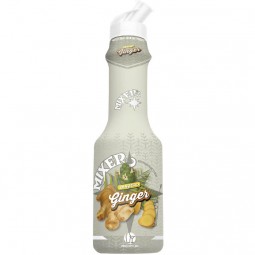 Mixer - Premium Bar Ginger Syrup (750ml)