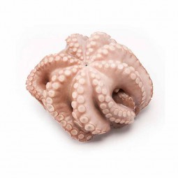 Bạch tuộc đông lạnh Whole Octopus Frz (~3kg) - Palamos