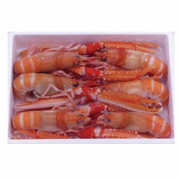 Langoustine 12-15 (~1.35kg) - Palamos