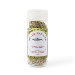 Hạt thì là - Fennel Seeds (35G) - Bac Lieu