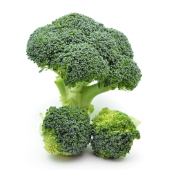 Brocoli Perfection Fresh- Kojavm