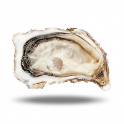 Hàu Pháp Tươi - Fine N3 24Pc Oysters Normandy (2Kg) - Cadoret