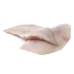 Thornback Ray Fillets Frz (4-6Fillets/Bag) (300-600G) - Palamos