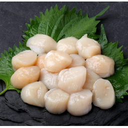 US Scallops IQF 10-20 (~20-40pc/kg) (1kg) - Eastern Fisheries