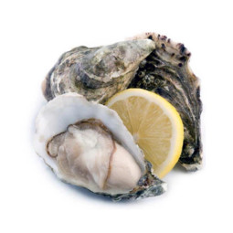 FRESH LOCAL PACIFIC OYSTER QUANG NINH (10-12PC/KG) (~1KG) - CRYSTAL BAY