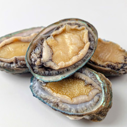WHOLE ABALONE FRZ 12PC/KG (~1KG) - CRYSTAL BAY