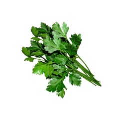 FLAT PARSLEY ITALIAN FRESH HERBS (50G)  - ORLAR
