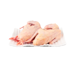 PIGEON OVEN READY FRZ (410-480G) - V CHEF