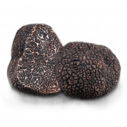 Plantin - Nấm truffle đen nguyên củ đông lạnh (100g)
