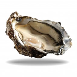 Black Pearl N2 24Pc Oysters Brittany (2.5Kg) - Cadoret