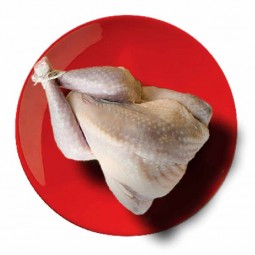 Gà trĩ nguyên con đông lạnh - Savel - Guinea Fowl  950-1250g/con