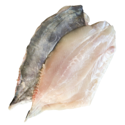 John Dory Fillet Matodai Frz Japan (140-180g)*2 - Nippon Premium