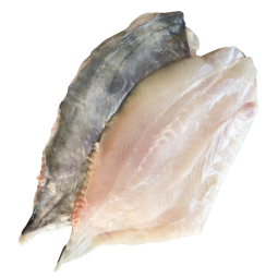 Phi lê cá John Dory Fillet Frz (140-180g) (~400g) - Nippon Premium