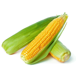 Bắp Ngọt - Sweet Corn 500Gr - Kojavm