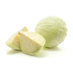 Bắp Cải Trắng - White Cabbage - Kojavm