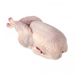 Quail Oven Ready Frz ~230g/Pc (~460g) - Cff Rungis | EXP 07/08/2025