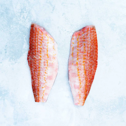 Cá Đối Đỏ Phi Lê Đông Lạnh (80-160) - Red Mullet Fillet (80-160G)(~1KG)- Palamos