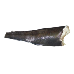 Cá răng cưa - Whole Toothfish Gutted Head Off Frz (4-5Kg) - Sapmer