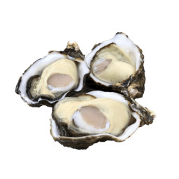 Whole Shell Oyster M Miyagi Frz  Japan (80gx40pc) (3.2kg) - Sanriku