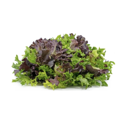 MIXED LETTUCE (1KG) - ORLAR