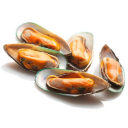 HALF GREENSHELL MUSSEL NZ FRZ 30/45 (~1KG) - CRYSTAL BAY