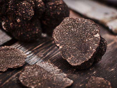 When is the truffle season?