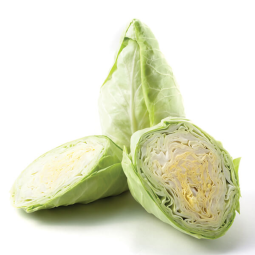 Bắp Cải Tim - Pointed Cabbage - Kojavm