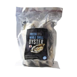 Hàu Nhật Nguyên Vỏ Đông Lạnh - FRZ Whole Shell Oyster M (~9pcs) (~1KG) - Honda Suisan- CTR - EXP 28/07/2024